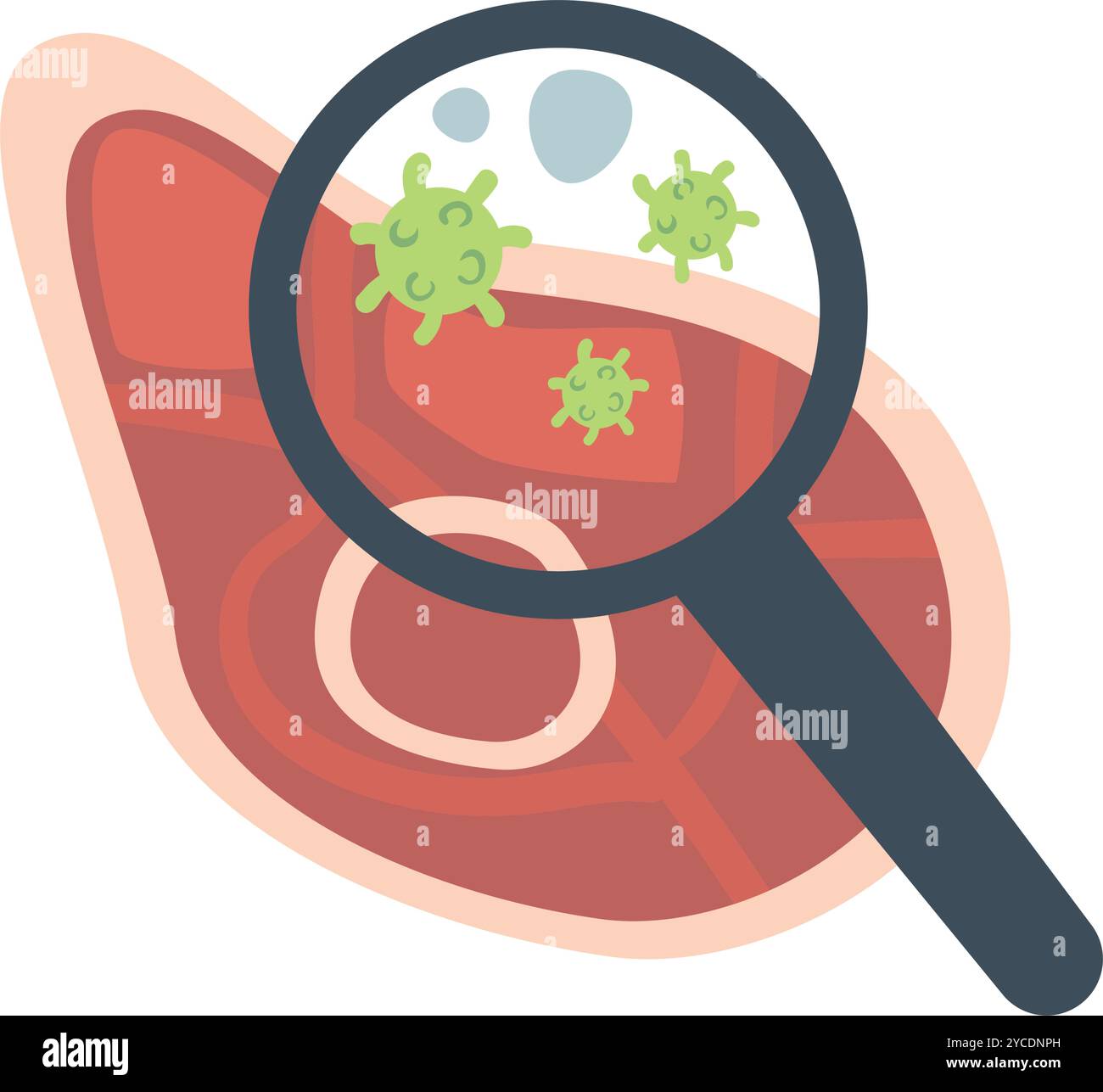 monkeypox virus transmission Stock Vector Image & Art - Alamy