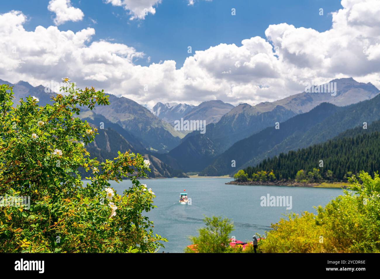 Where Heaven and Mountains Meet : Zanskar and the Himalayas