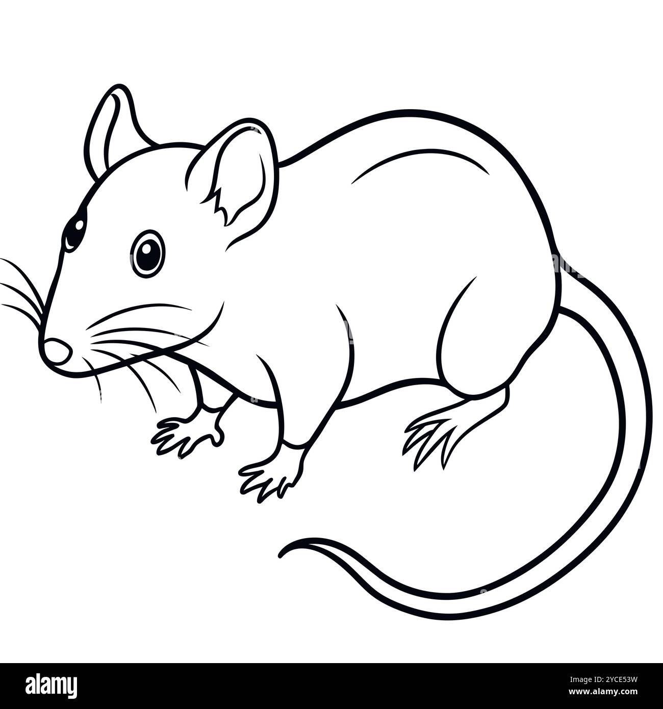 Black rat visuals hi-res stock photography and images - Alamy