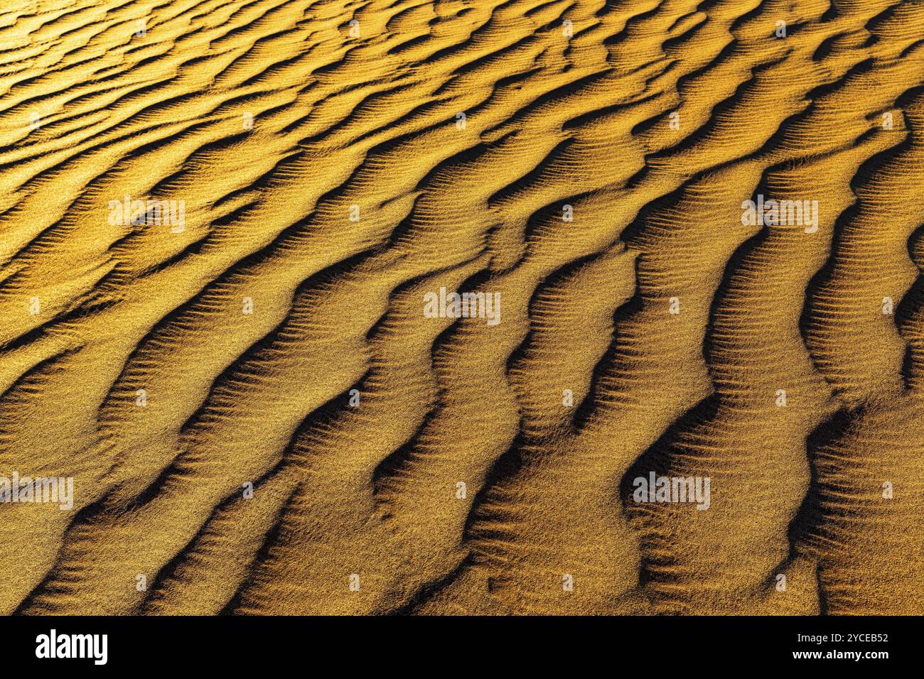 Sand structure formed by the wind, in the Rub al Khali desert, Dhofar province, Arabian Peninsula, Sultanate of Oman Stock Photo