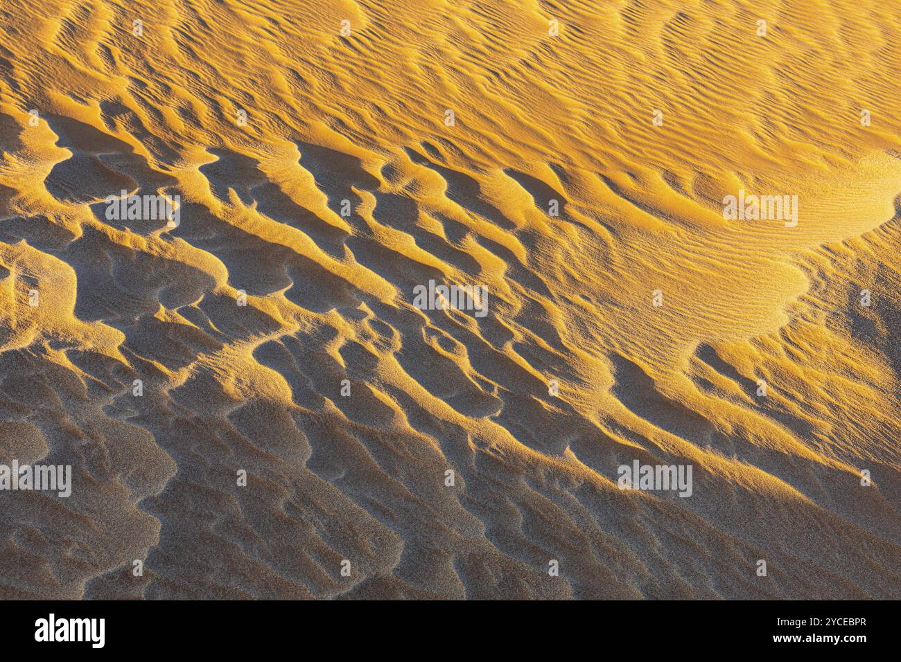 Sand structure formed by the wind, in the Rub al Khali desert, Dhofar province, Arabian Peninsula, Sultanate of Oman Stock Photo