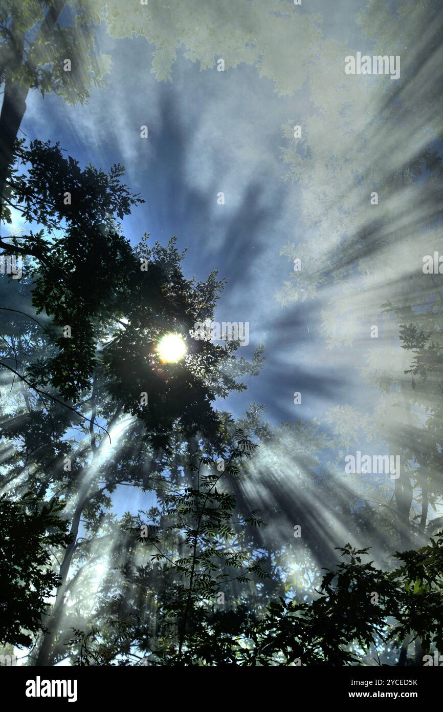 Dim sun rays hi-res stock photography and images - Alamy