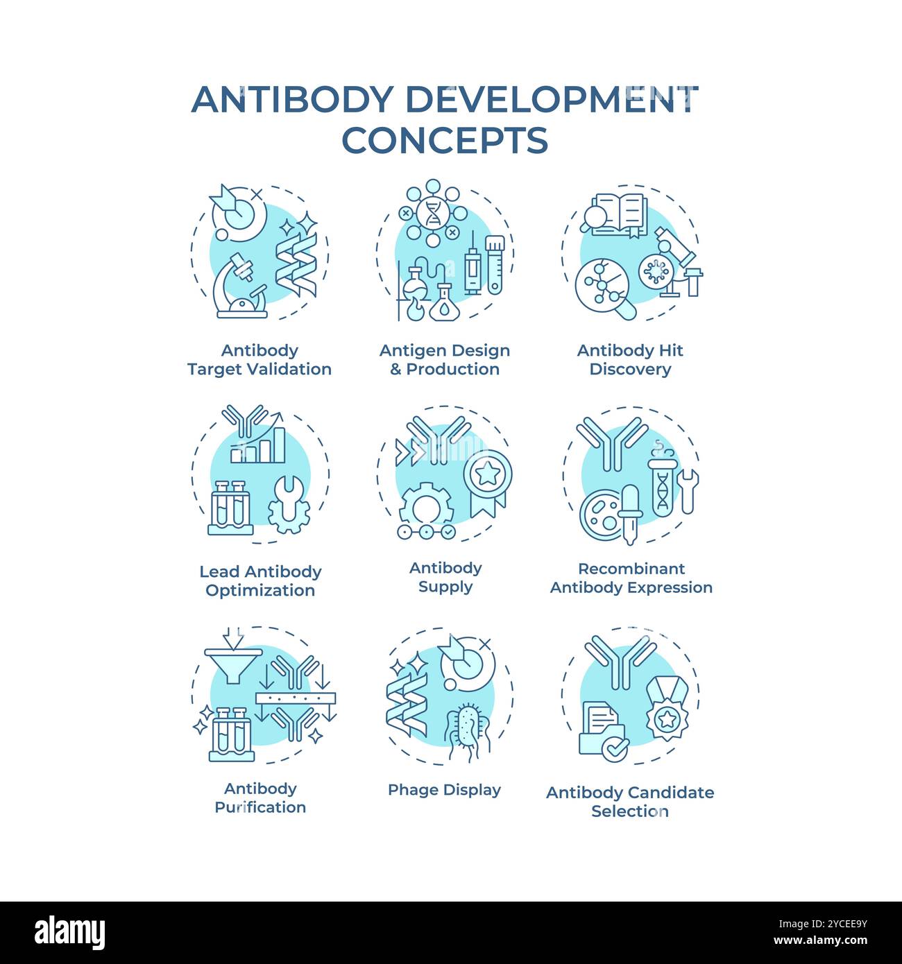Antibody development soft blue concept icons Stock Vector Image & Art ...