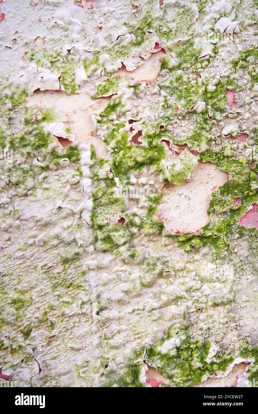 Effect of humidity on an old wall of residential Stock Photo