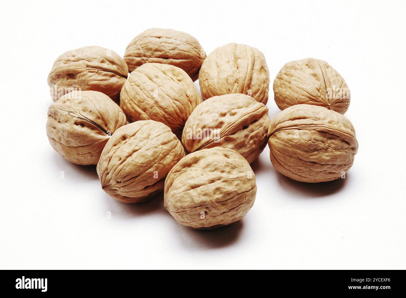 Walnuts, Close Up against white background Stock Photo