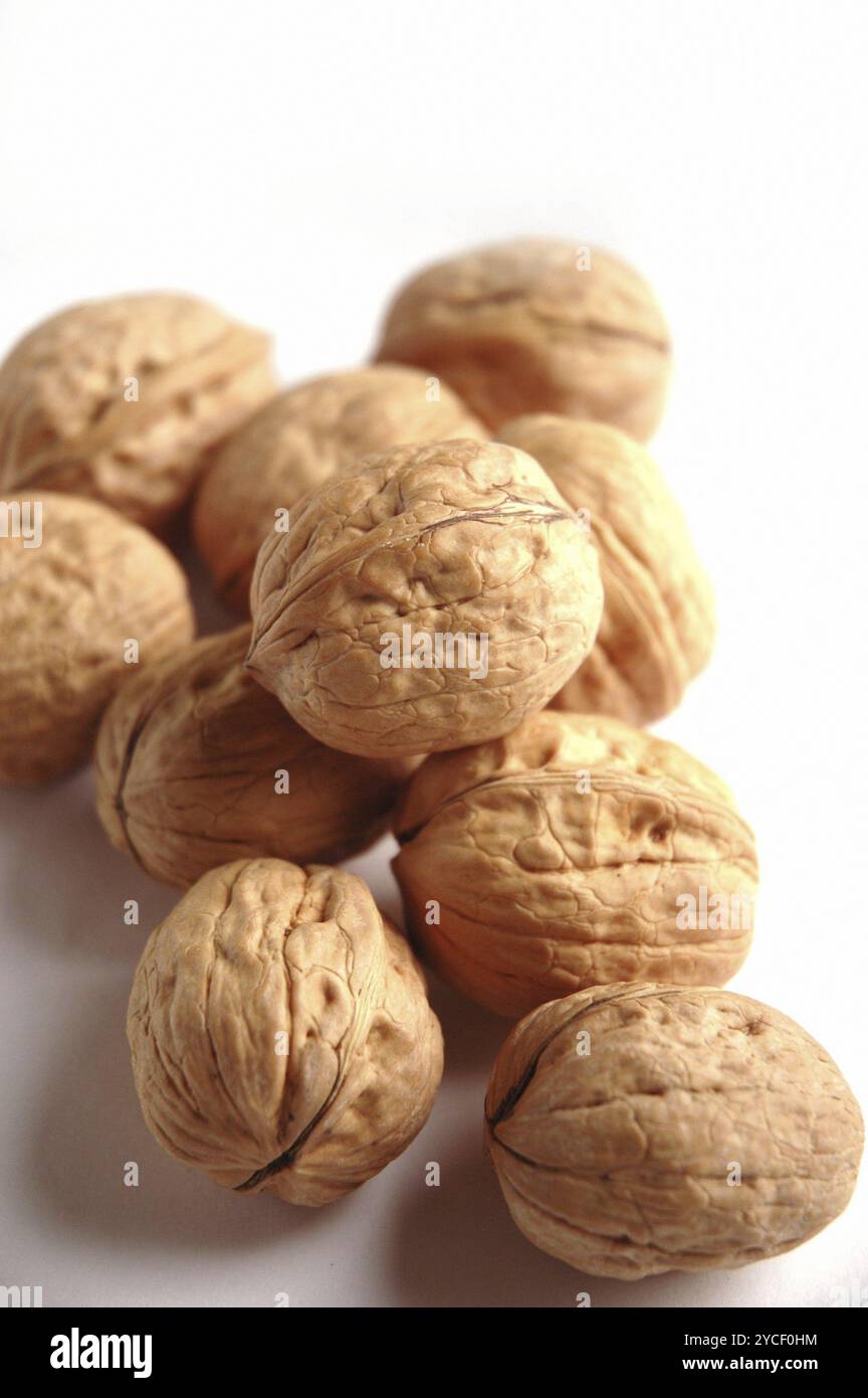 Walnuts, Close Up against white background Stock Photo