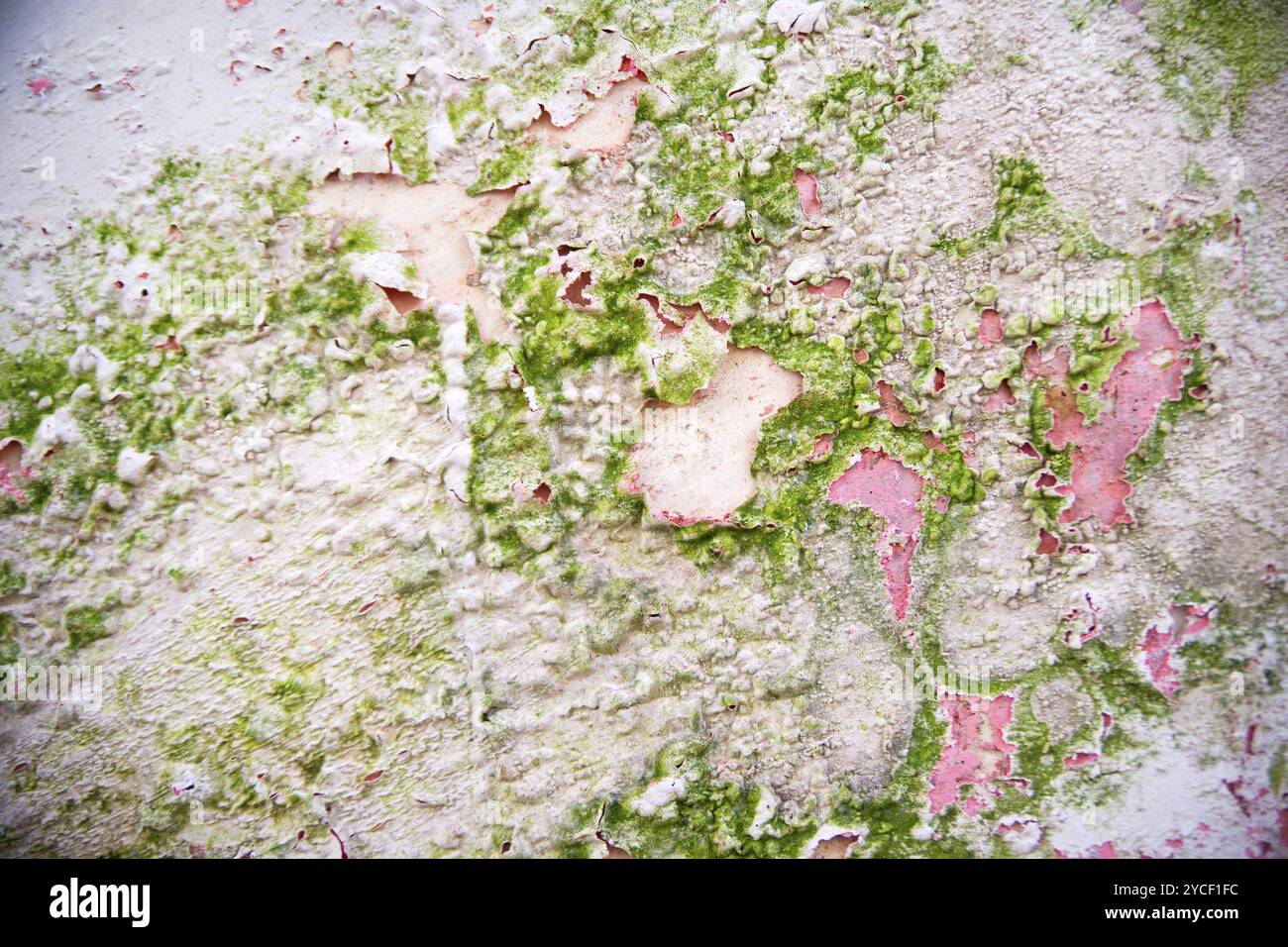Effect of humidity on an old wall of residential Stock Photo