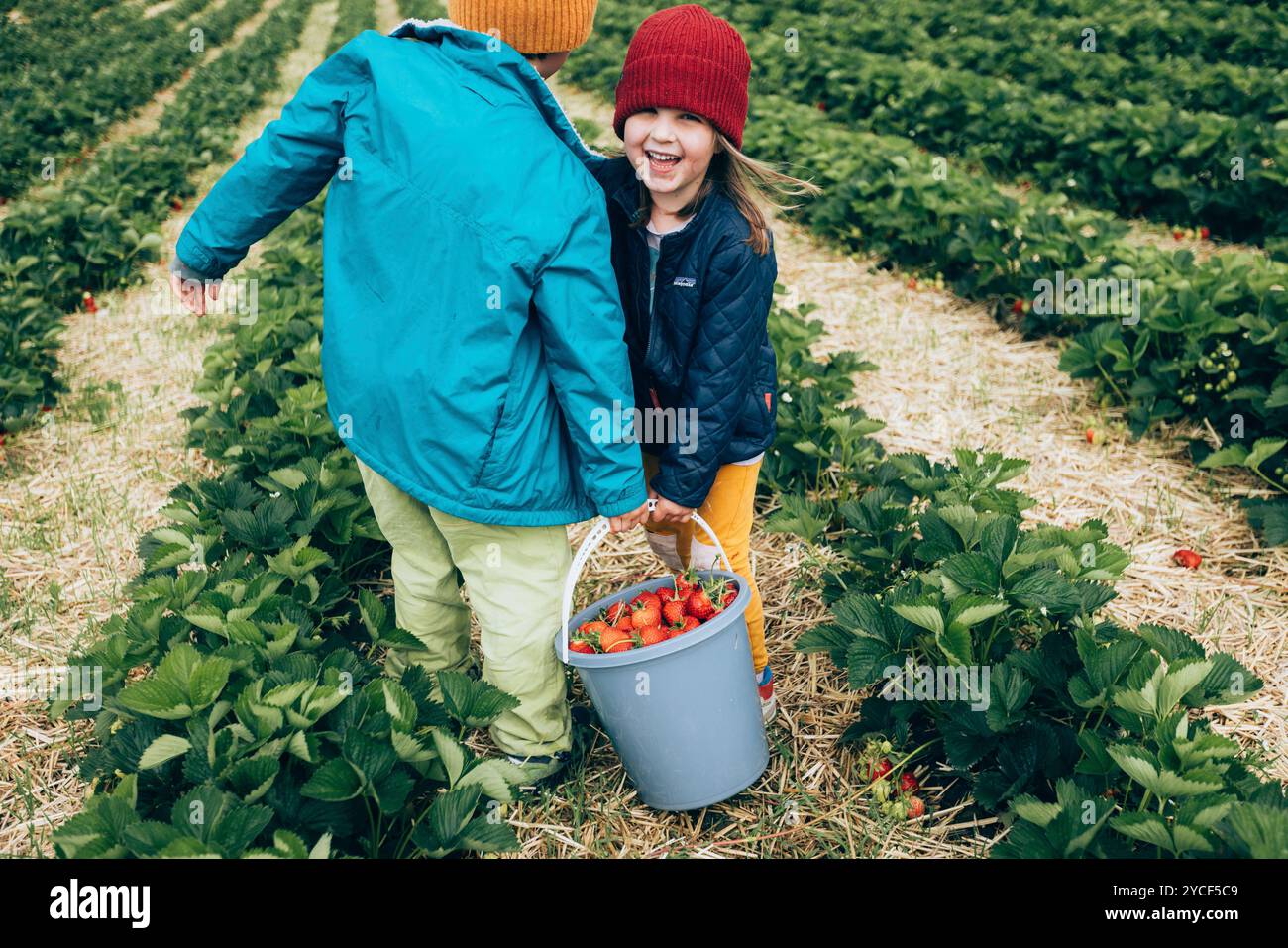 Children picking strawberries hi-res stock photography and images - Alamy