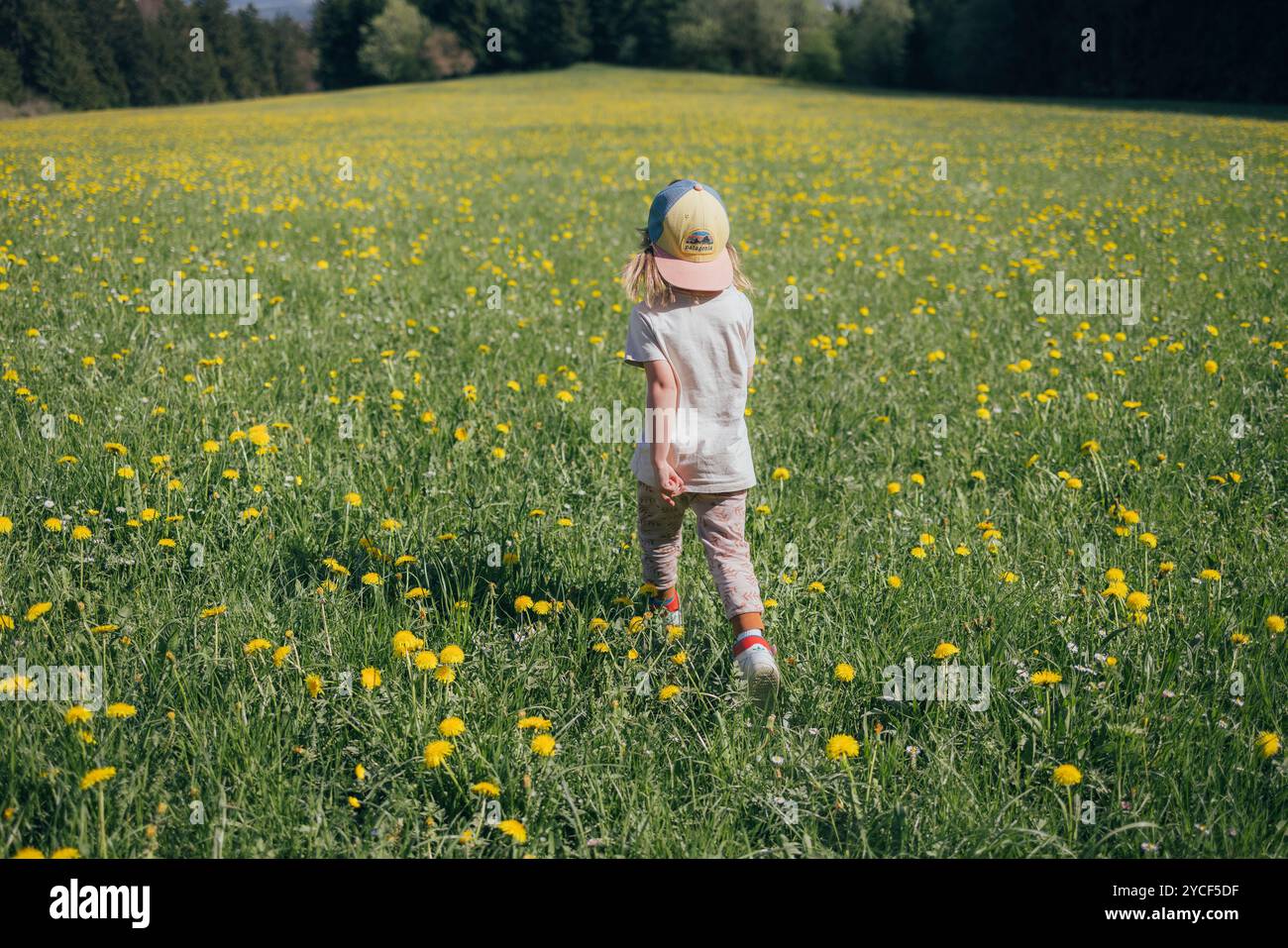 Girl running in a meadow Stock Photo