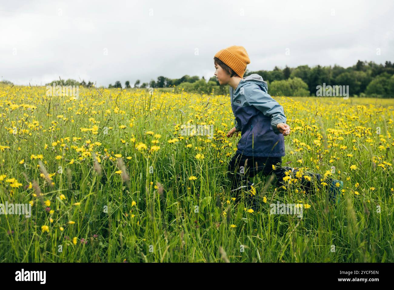 Boy running in a meadow Stock Photo