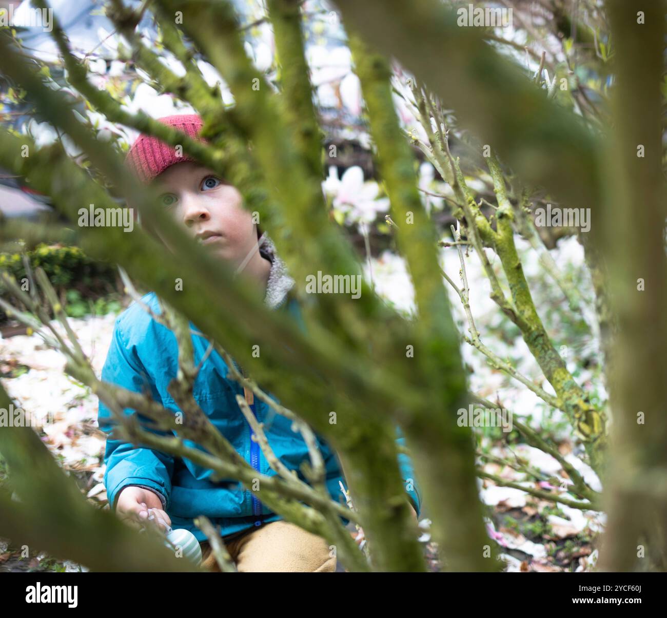 Boy hanging up Easter eggs Stock Photo