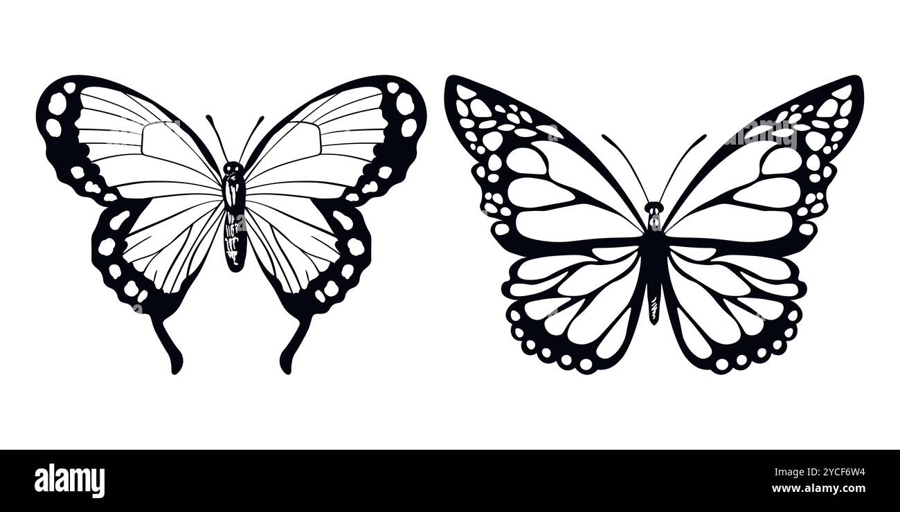 Funny black and white butterfly. Color flat vector of detailed