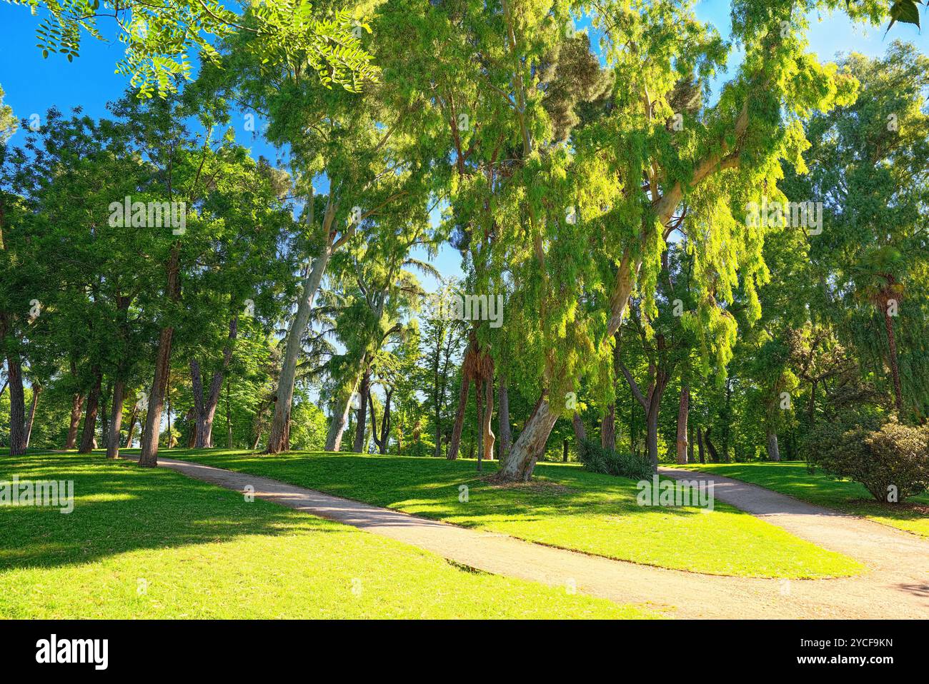 Walking through Buen Retiro Park (Parque de El Retiro)- most largest ...