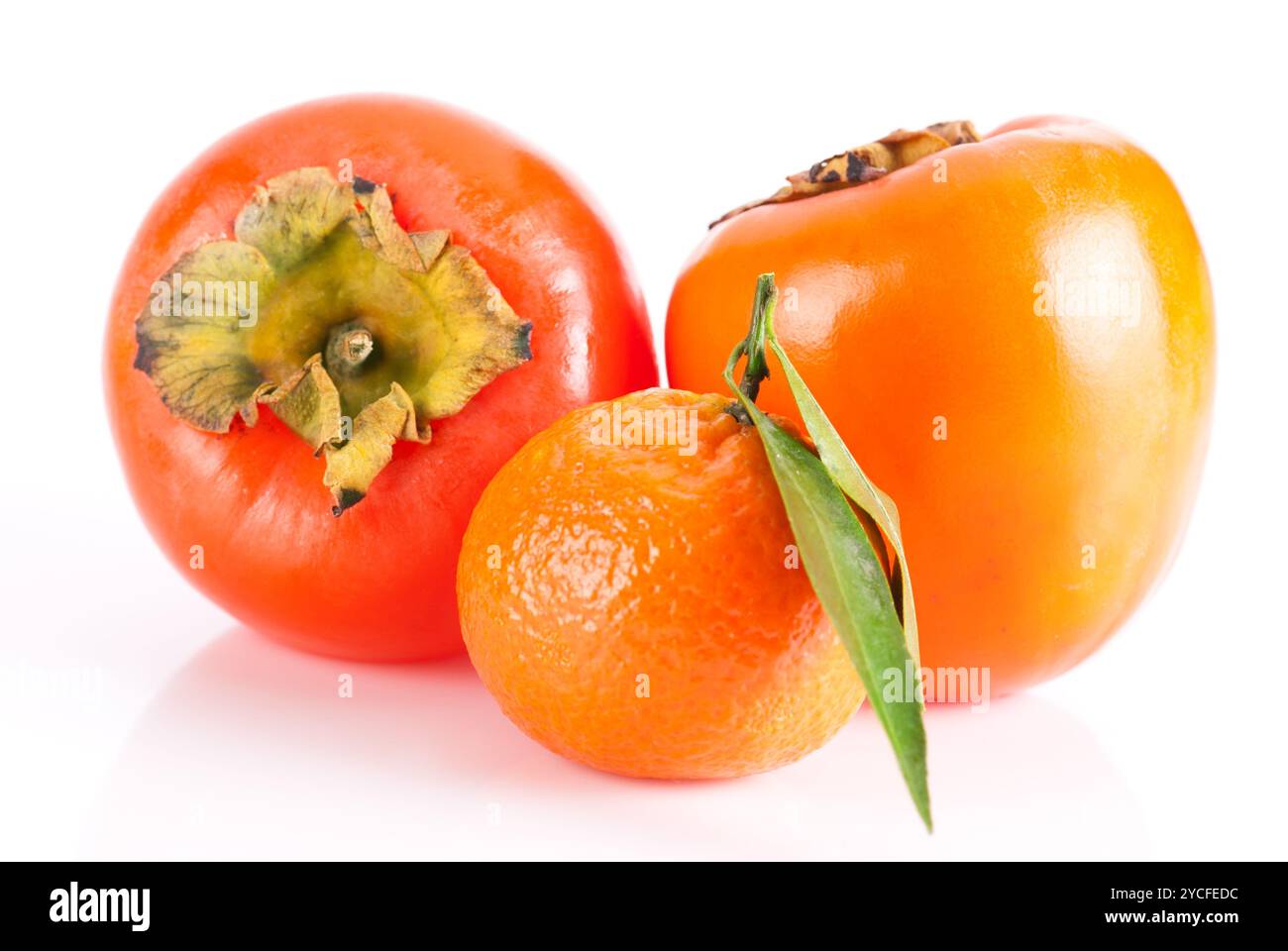 winter sweaters for women