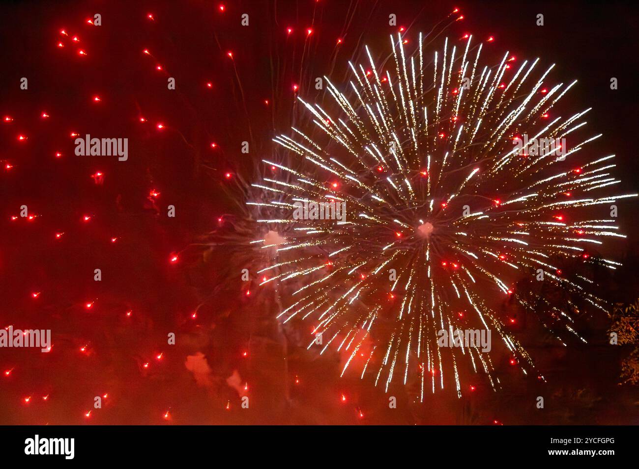 Fireworks exploding in the night sky Stock Photo