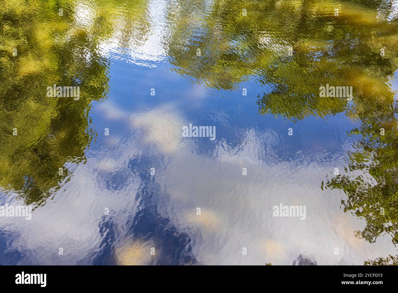 Trees and sky are reflected on the surface of the water Stock Photo - Alamy