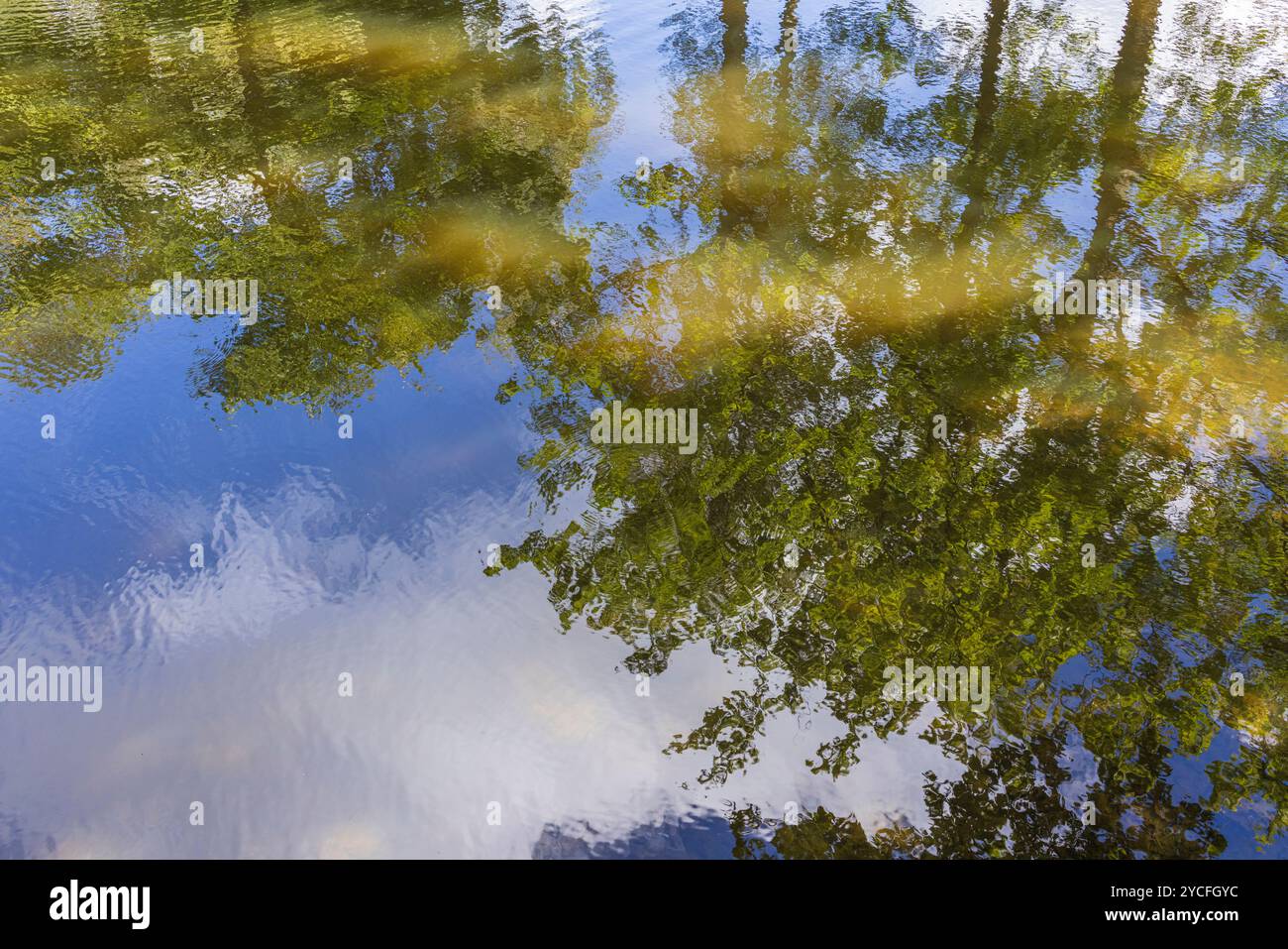 Trees and sky are reflected on the surface of the water Stock Photo - Alamy