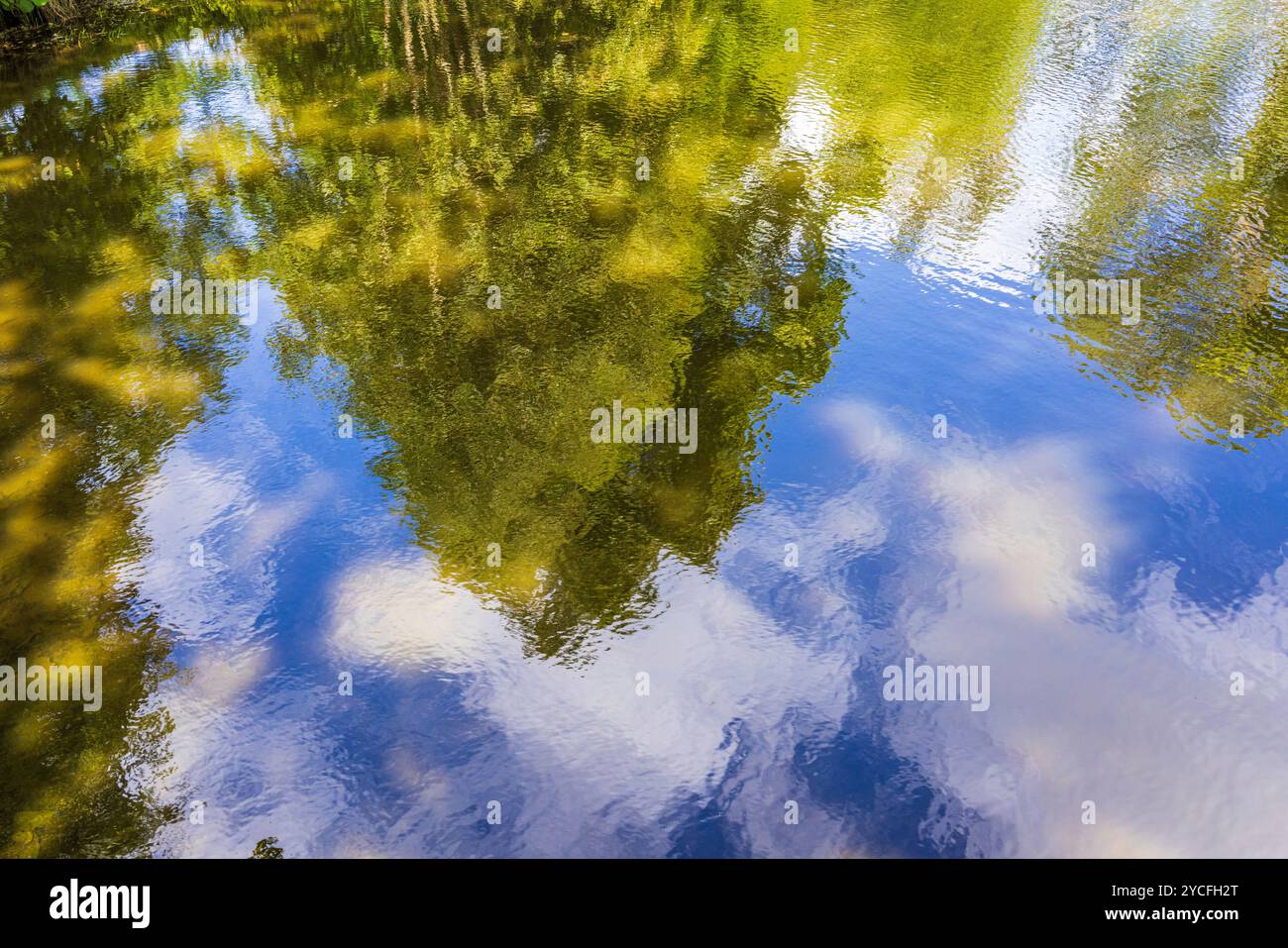 Trees and sky are reflected on the surface of the water Stock Photo - Alamy