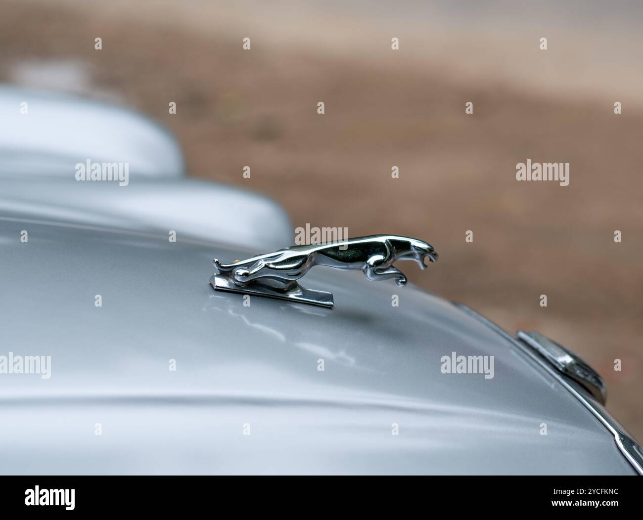 Close up view of a classic car hood ornament depicting a leaping animal, symbolizing luxury and elegance in automotive design. Jaguar Stock Photo