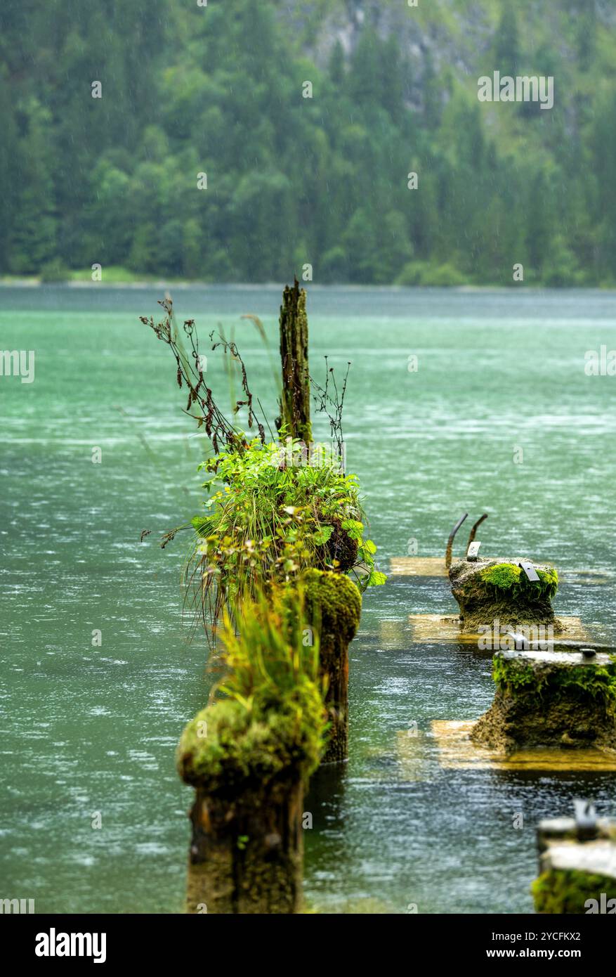 Rainy day at lake konigssee hi-res stock photography and images - Alamy