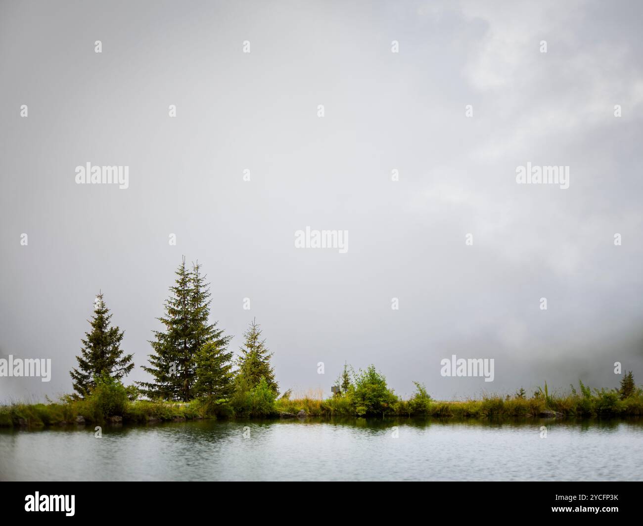 Lake and trees hi-res stock photography and images - Alamy