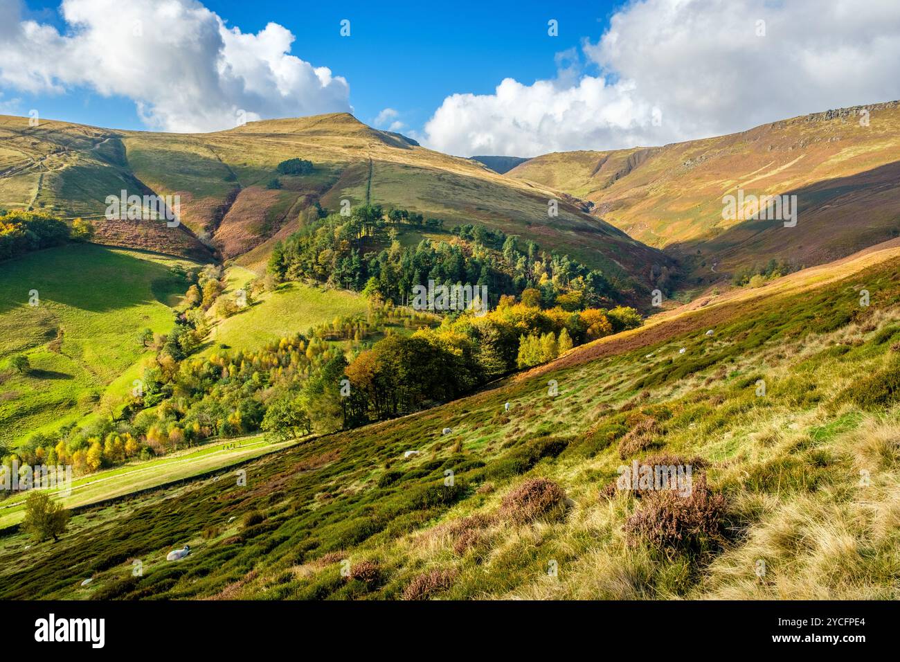 Grindsbrook Clough leading from Edale to Kinder Scout, Peak District, UK Stock Photo