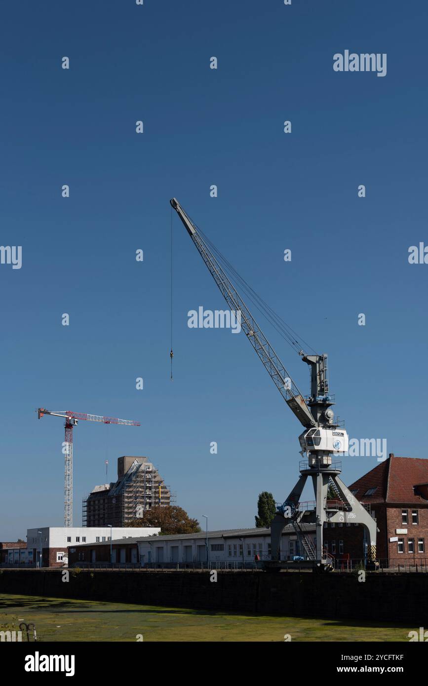 Old silo building, warehouse, in front of it construction crane and harbor crane, Magdeburg Port of Science, Saxony-Anhalt, Germany Stock Photo