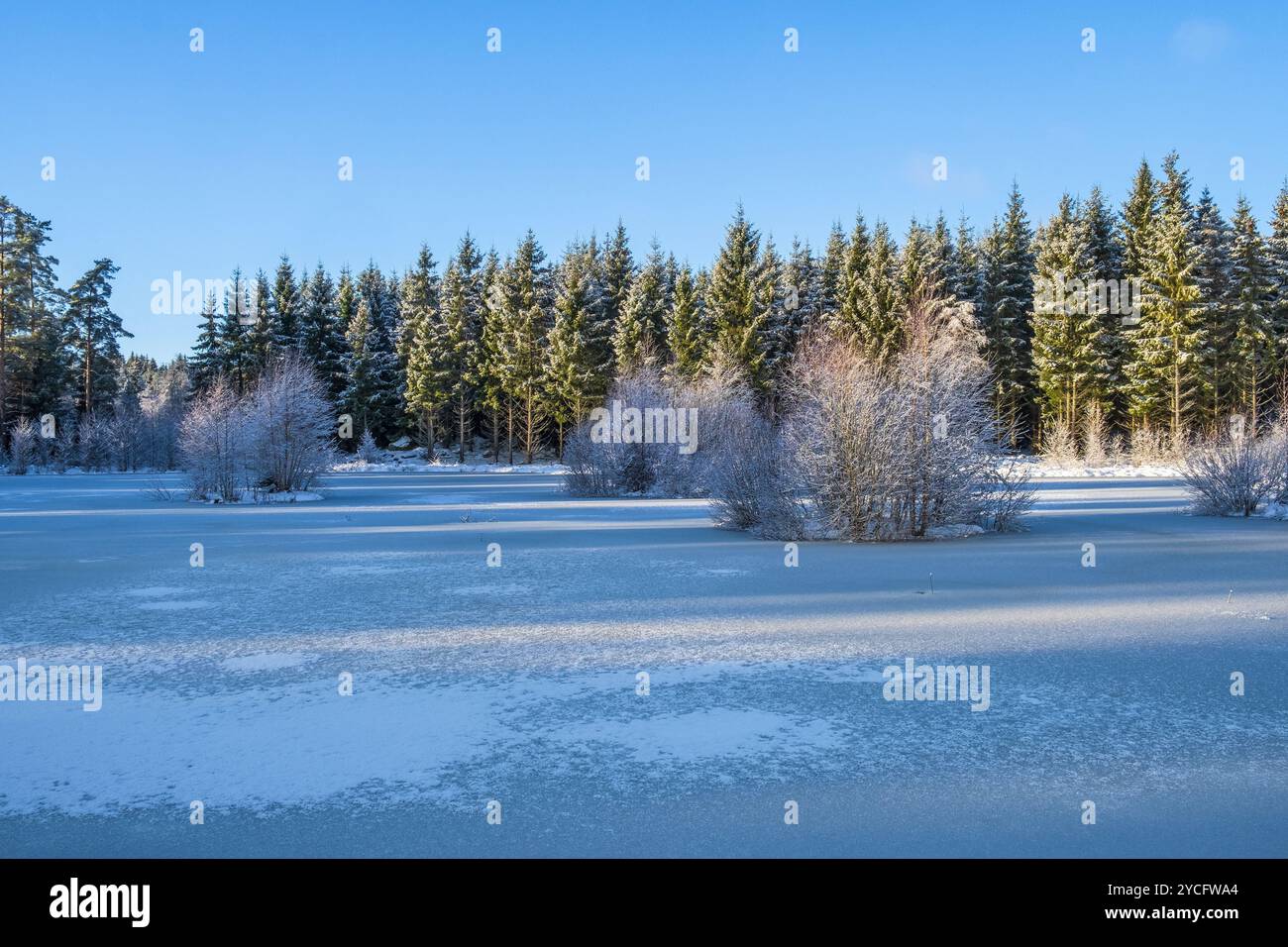 Wintery landscape by a frozen lake in the forest Stock Photo