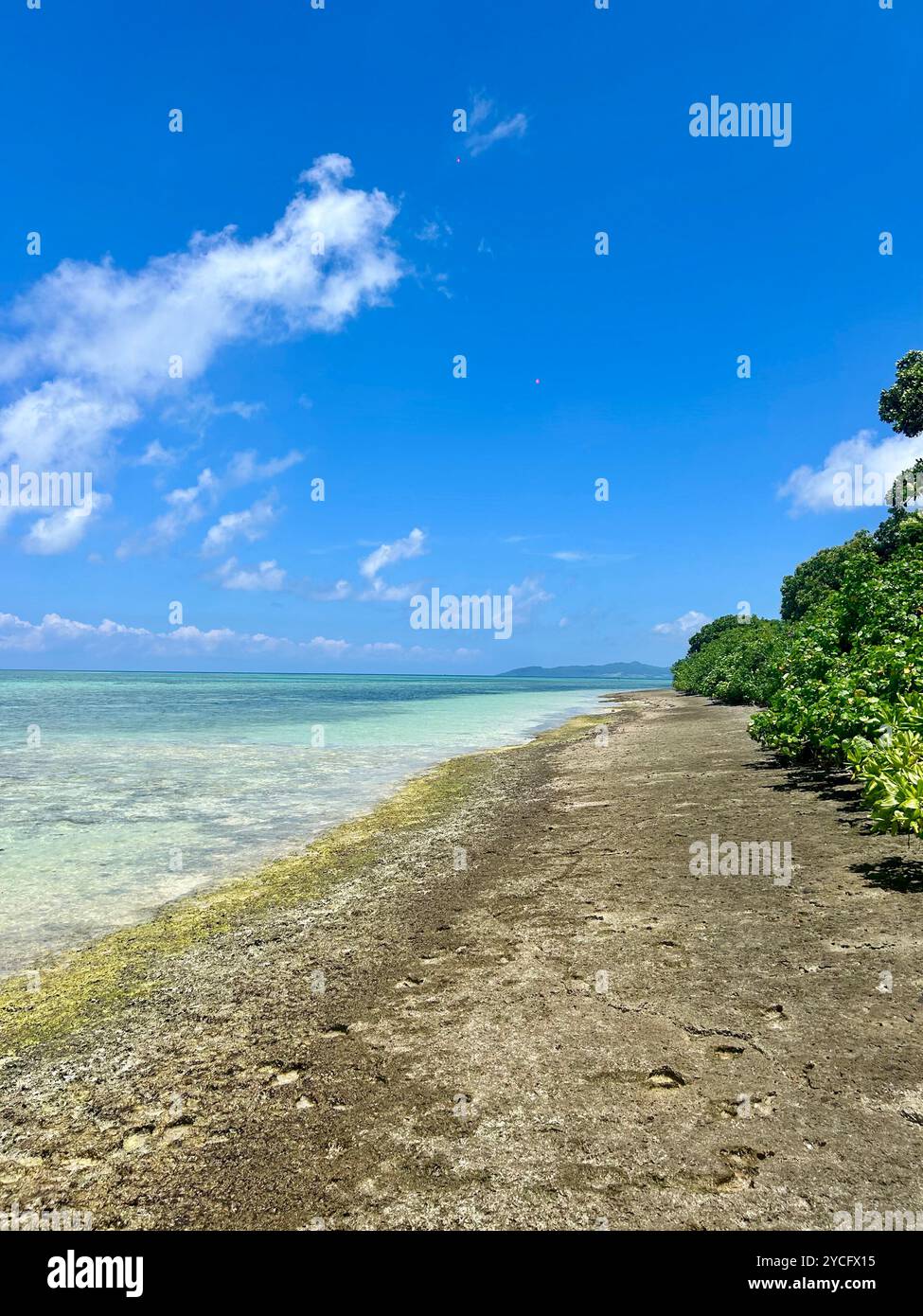 Rocky beach Japan - Smartphone Captured Stock Image