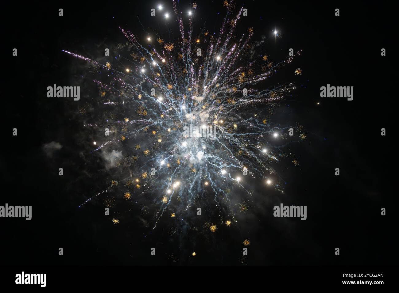 Silver Rope Firework Vector Gold And Silver Fireworks On Black Background Silver Fireworks