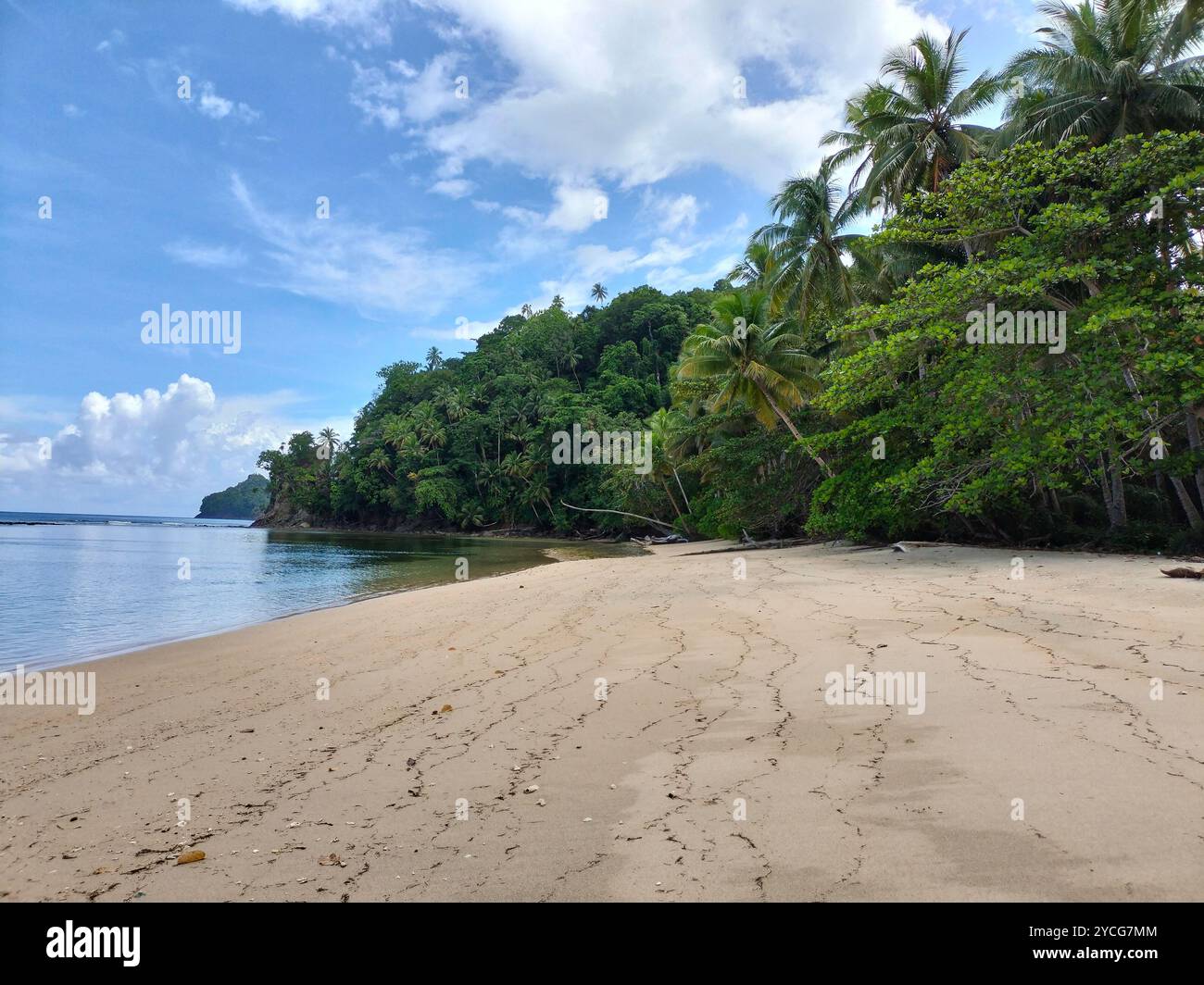 Beautiful beach under a bright, clear sky, showcasing serene coastal views with soft sand and turquoise waters - Smartphone Captured Stock Image
