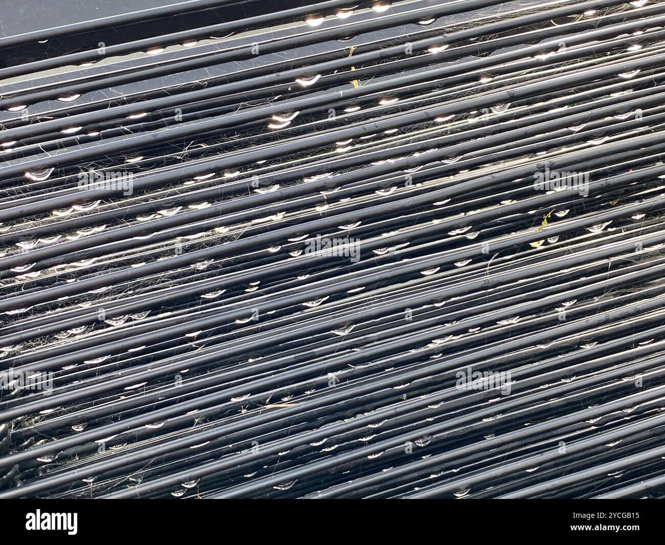 Interesting jewel-like appearance of raindrops on  the strings on the back of  an outdoor chair - Smartphone Captured Stock Image