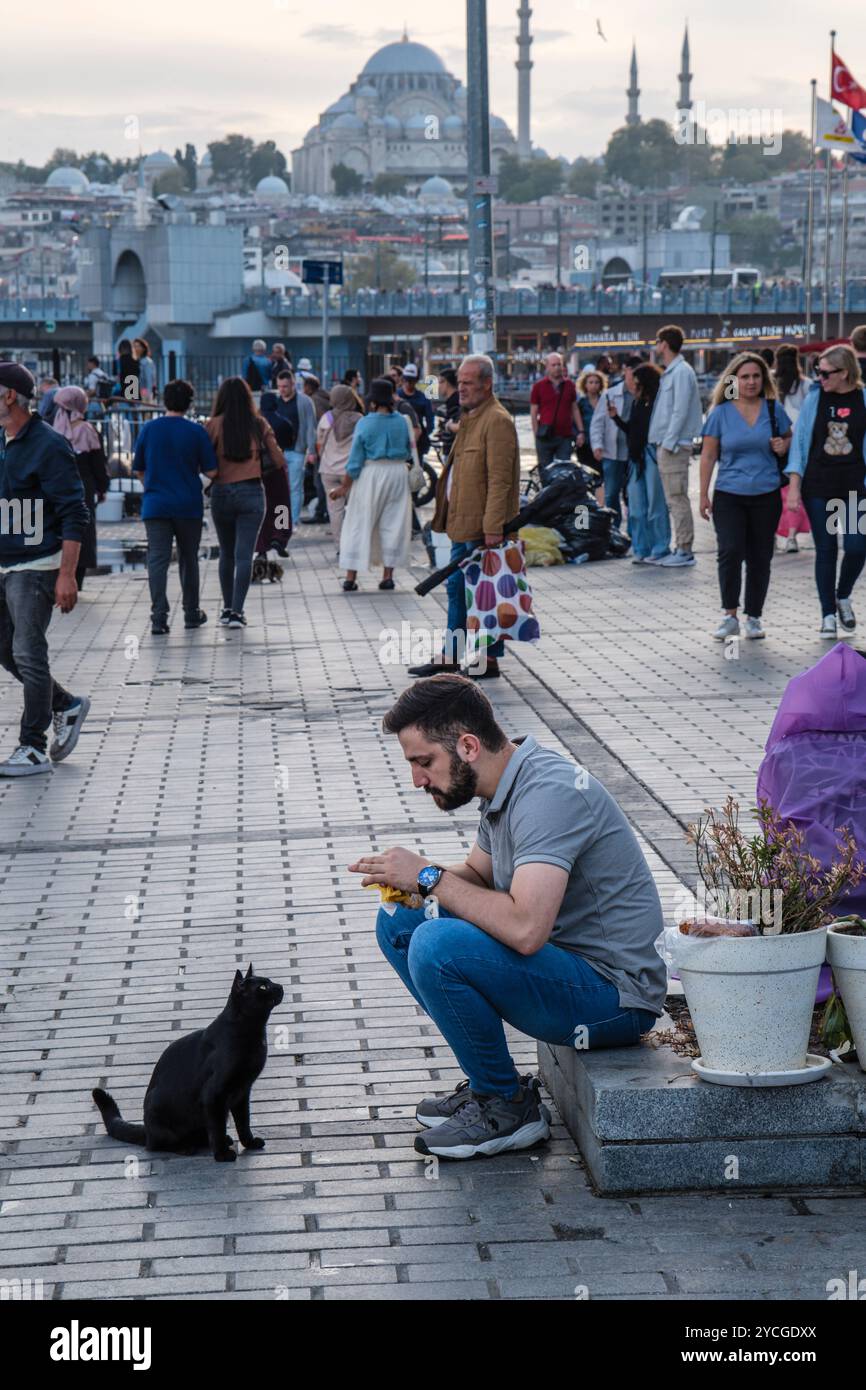 A cat watches a man eating, hoping for a titbit, Istanbul, Turkey. In the background is the Galata Bridge and the Süleymaniye Mosque. Stock Photo