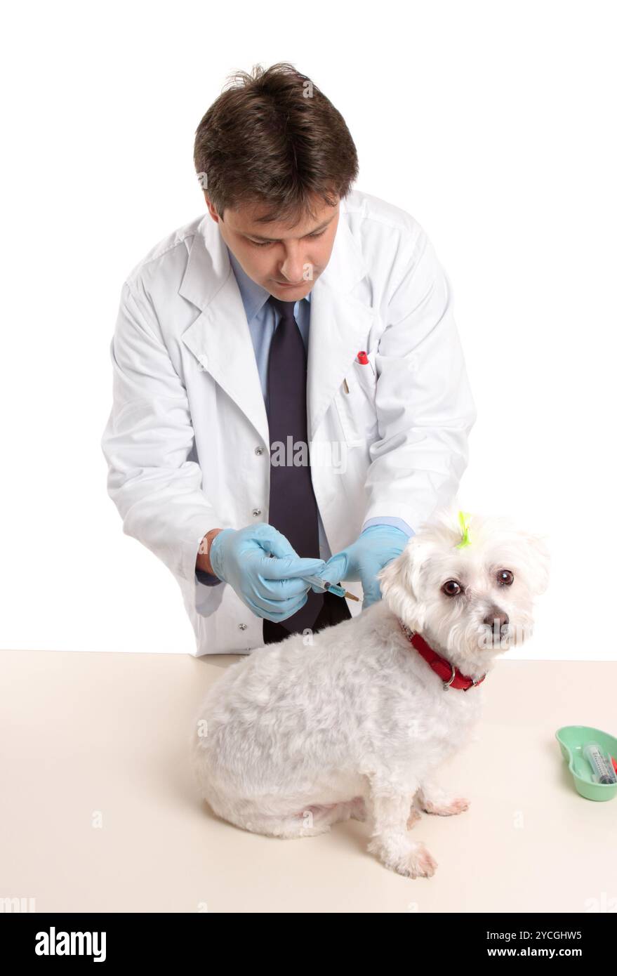 PetMeds® - Your Trusted Pet Health Expert