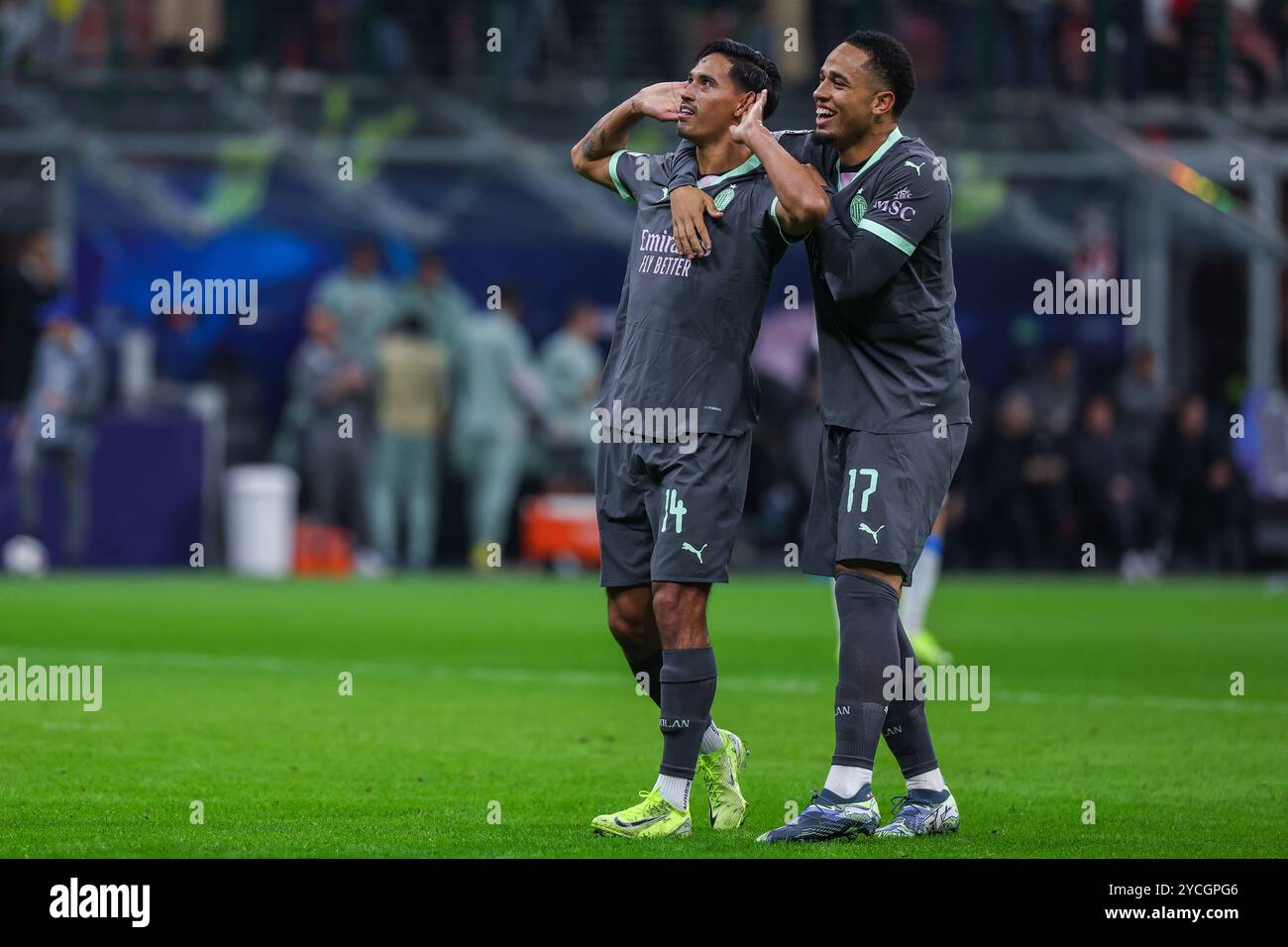 After noah hi-res stock photography and images - Page 13 - Alamy, image size:1300x956