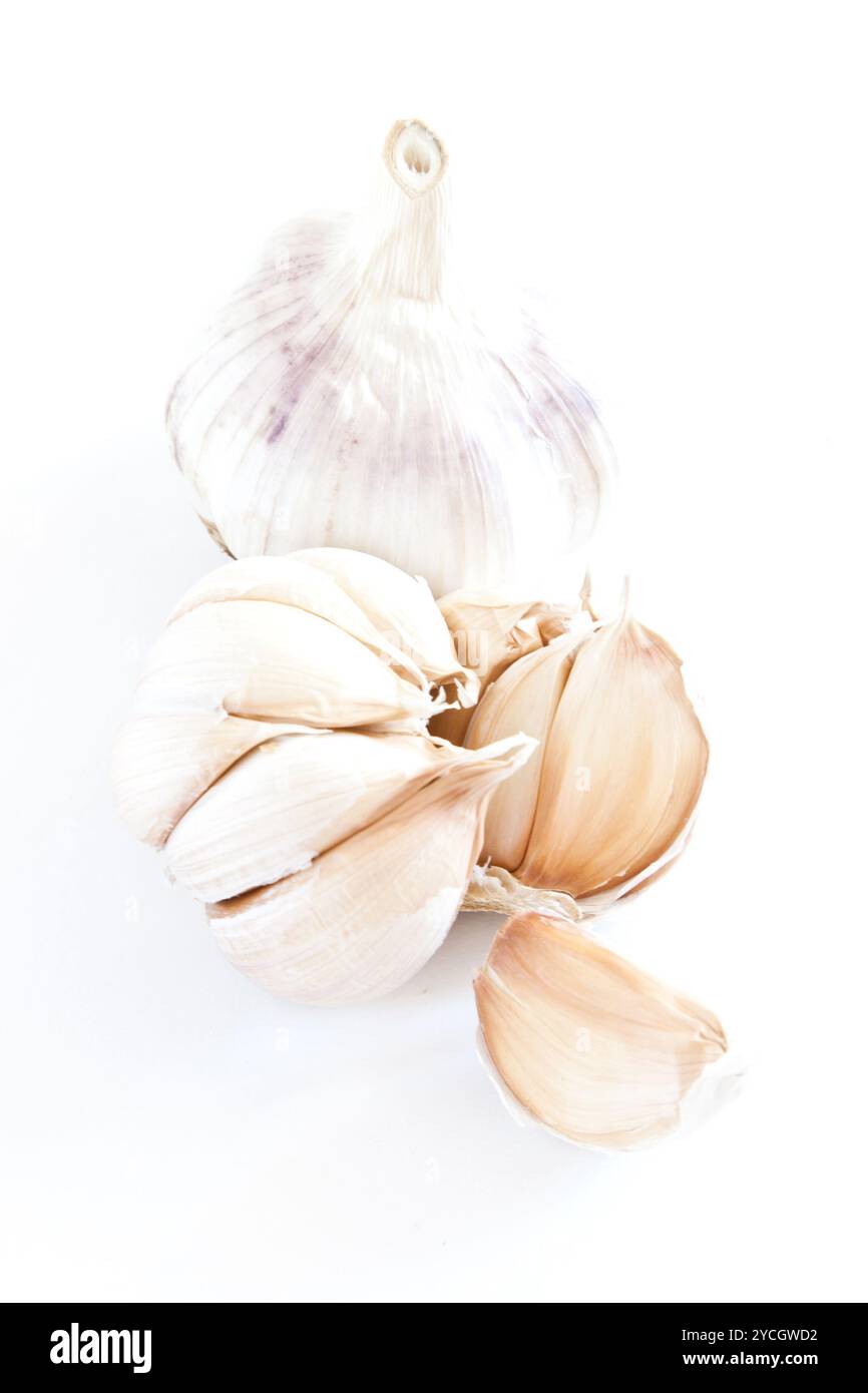bulb garlic and clove on white background Stock Photo - Alamy