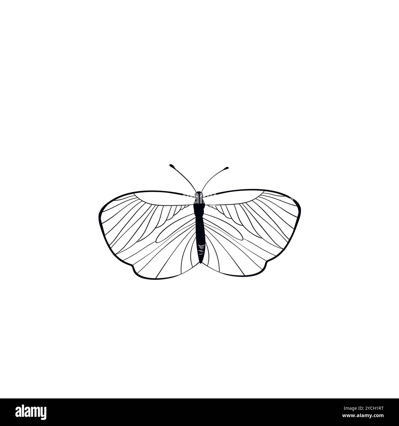 Funny black and white butterfly. Color flat vector of detailed