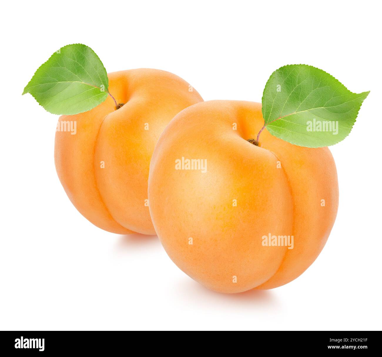 Two apricots with leaves Stock Photo