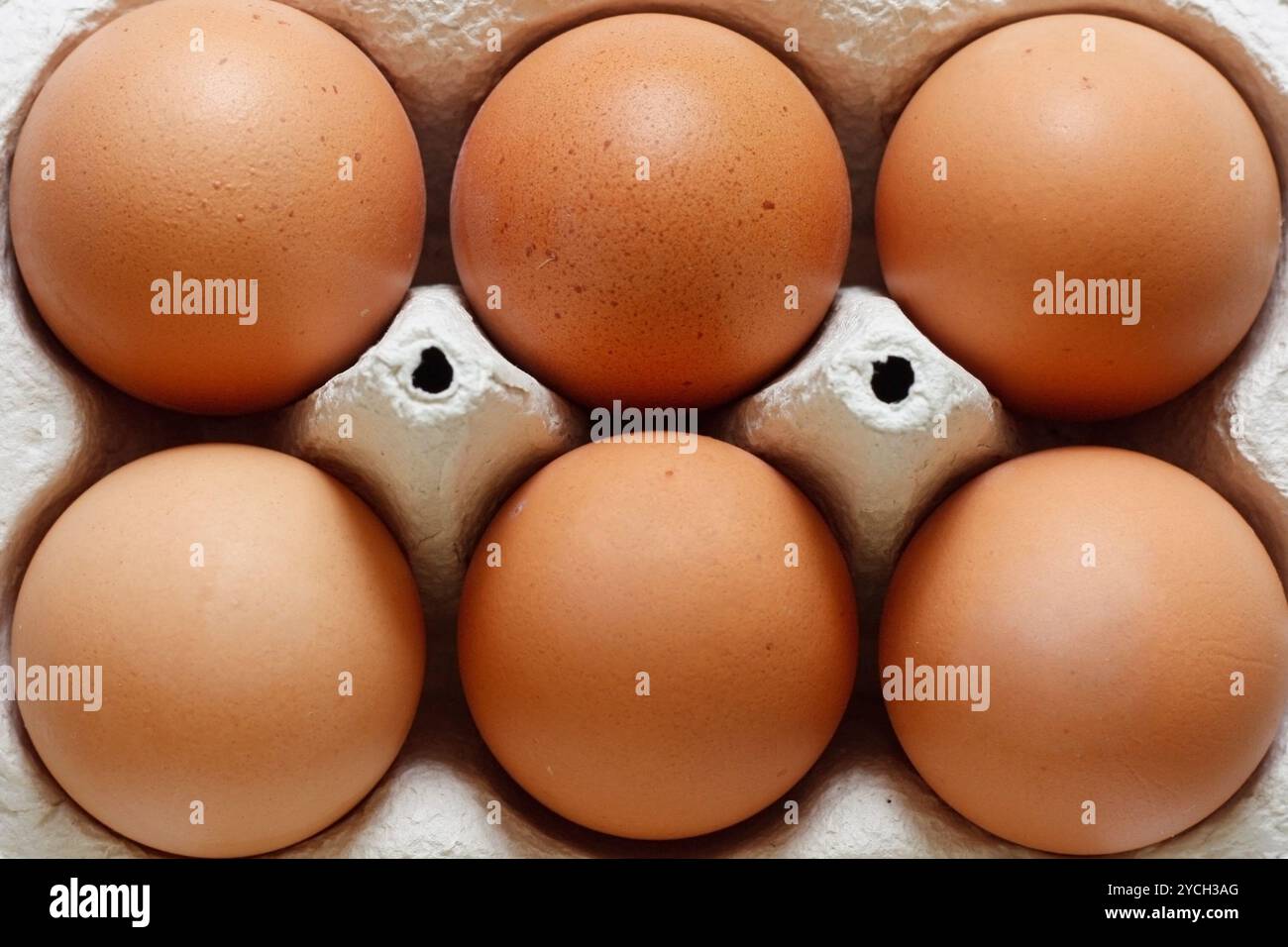 Eggs Stock Photo