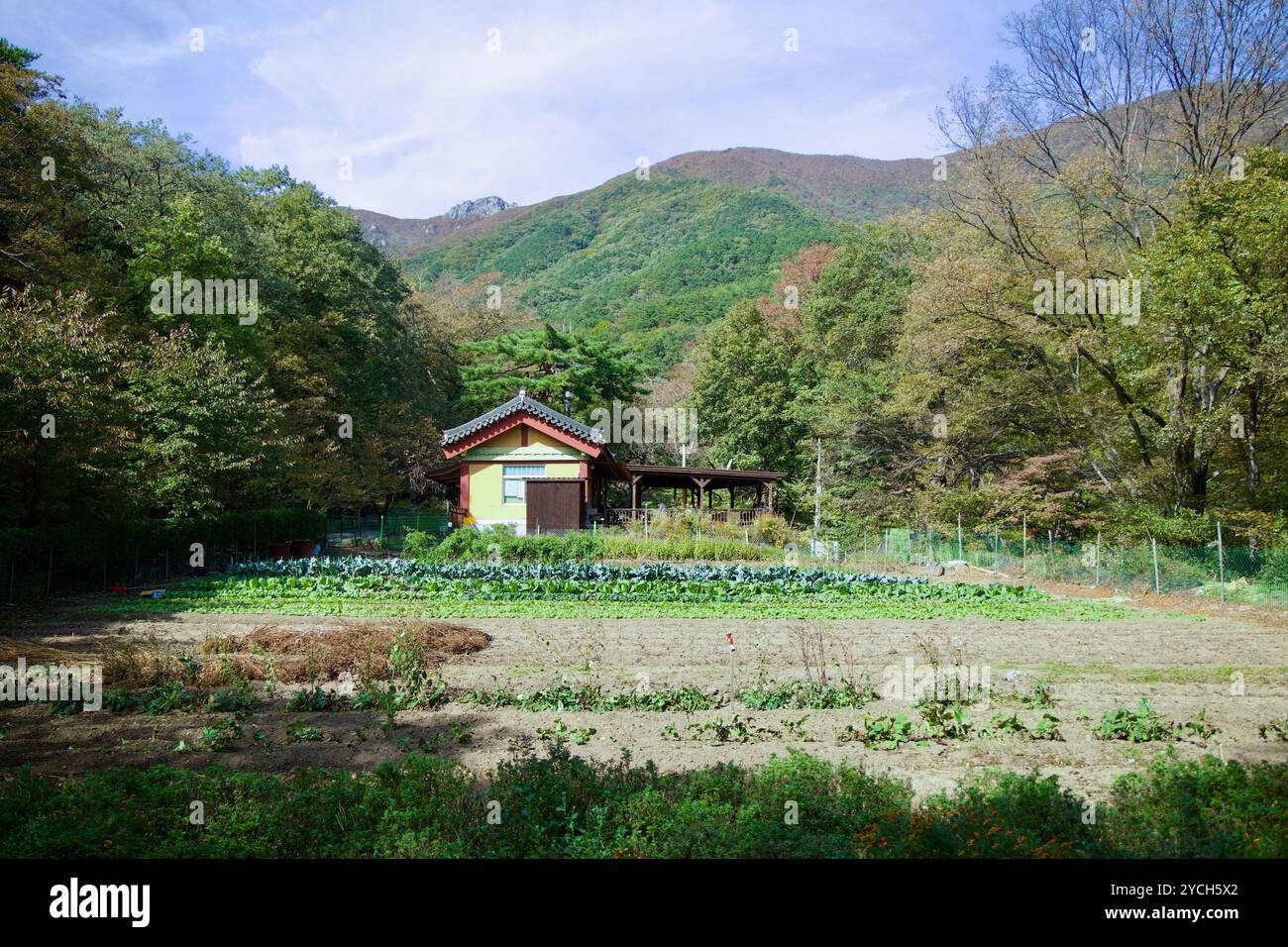 Ulsan, South Korea - October 21st, 2023: A small farm with a ...