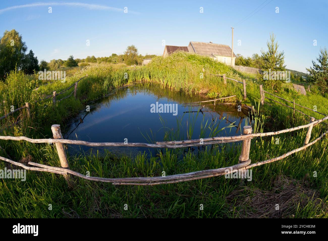Small garden pond sunlight hi-res stock photography and images - Alamy