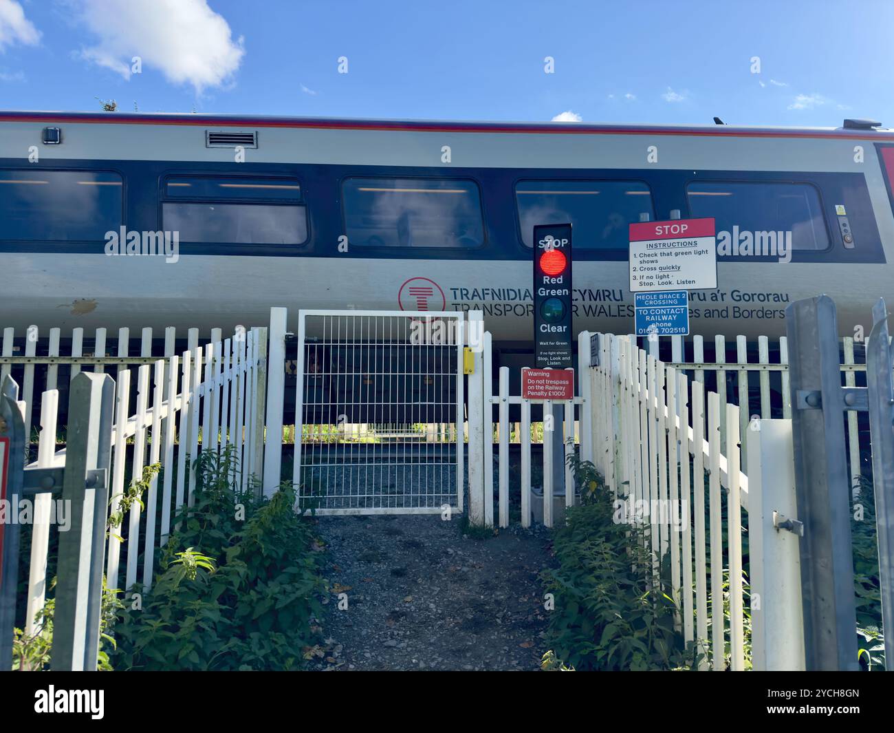 Transport for Wales passenger train speeding past a pedestrian rail crossing that shows a red stop light. - Smartphone Captured Stock Image