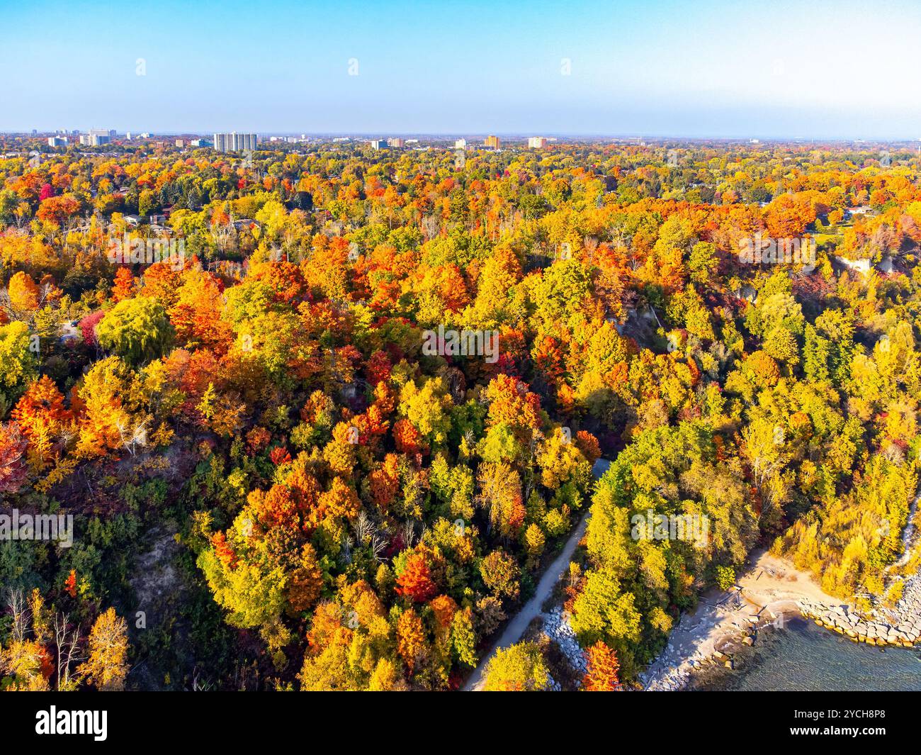 Aerial view of vibrant autumn colors in the lush foliage of a forest by ...