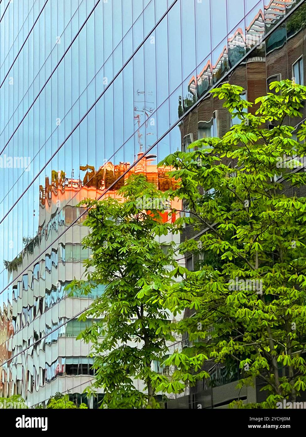 Reflections on glass facade. Madrid, Spain. - Smartphone Captured Stock Image