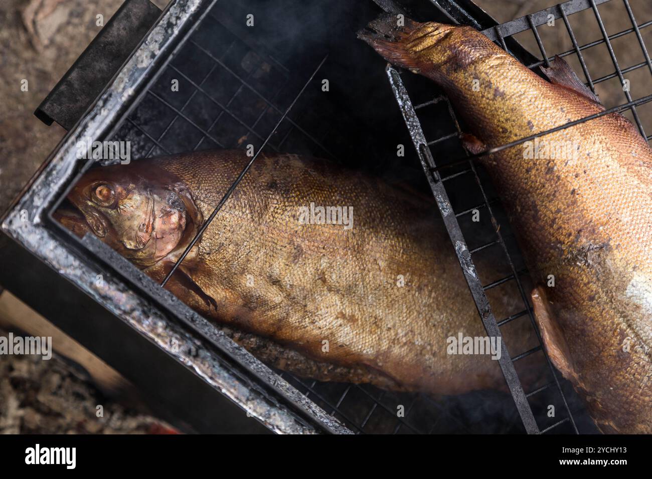 Homemade golden smoked salmon on grid in camp smoking shed Stock Photo