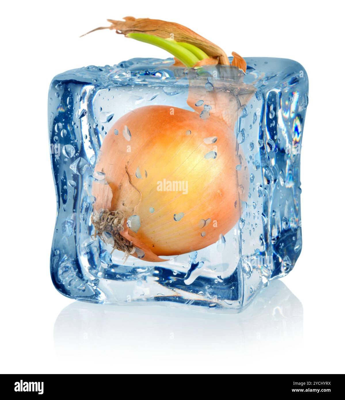 Transparent onion Cut Out Stock Images