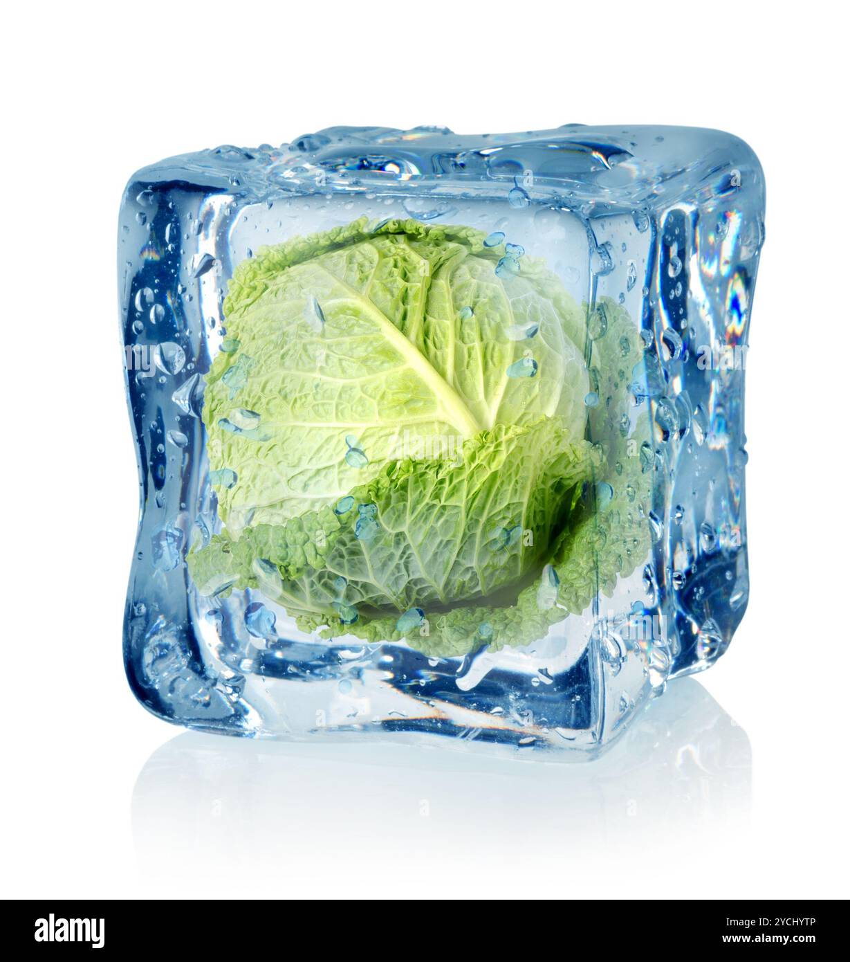 Iced Cabbage Ice cube and savoy cabbage isolated on a white background Stock Photo ...