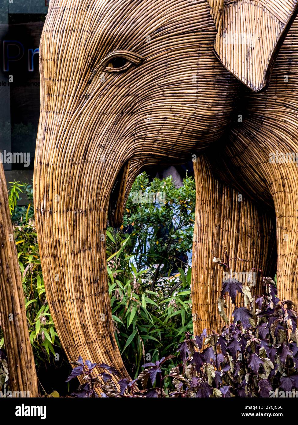 Great Elephant Migration sculptures by the Coexistence Collective, constructed by Indian indigenous artisans out of the Lantana camara, New York City - Smartphone Captured Stock Image