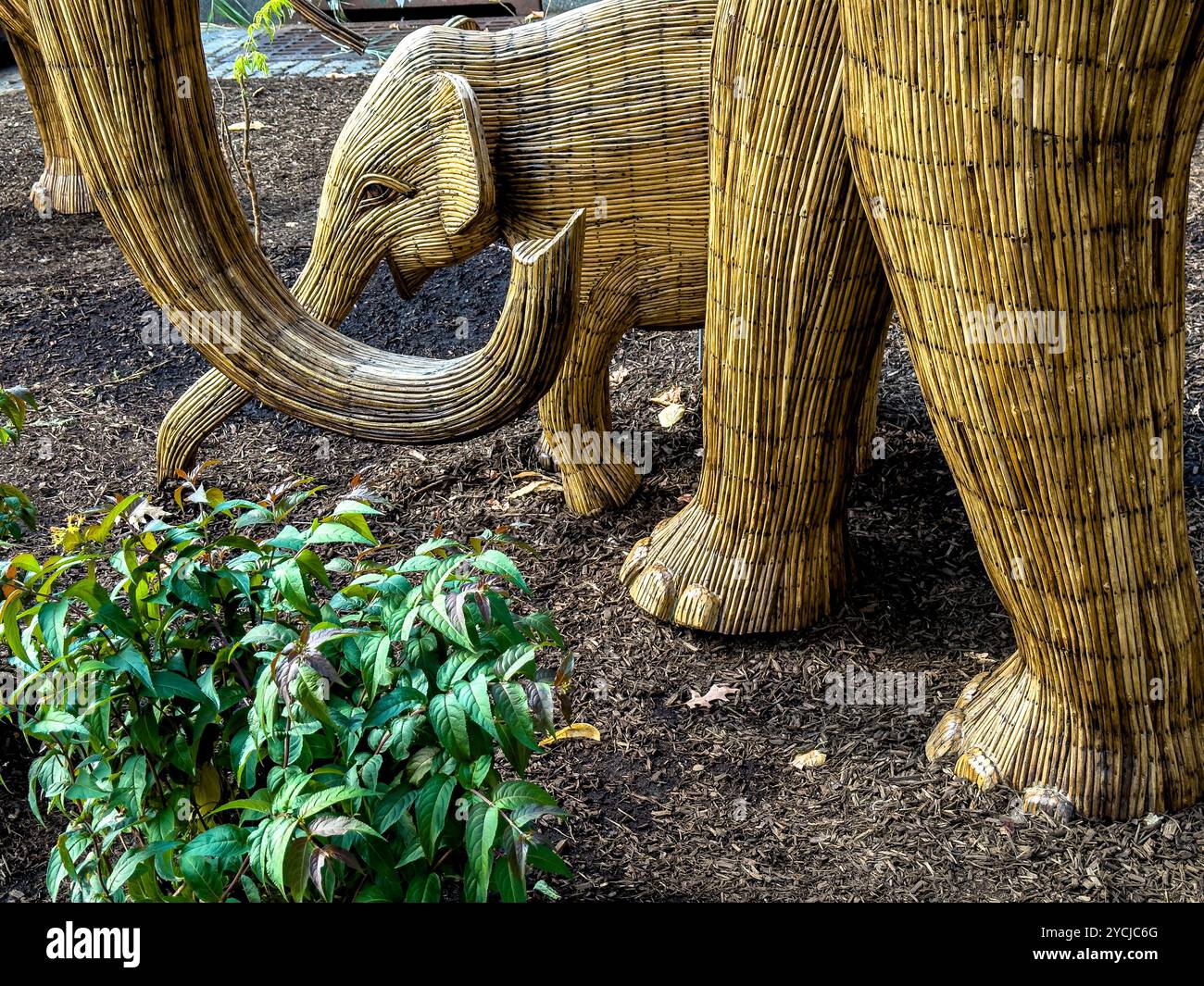Great Elephant Migration sculptures by the Coexistence Collective, constructed by Indian indigenous artisans out of the Lantana camara, New York City - Smartphone Captured Stock Image