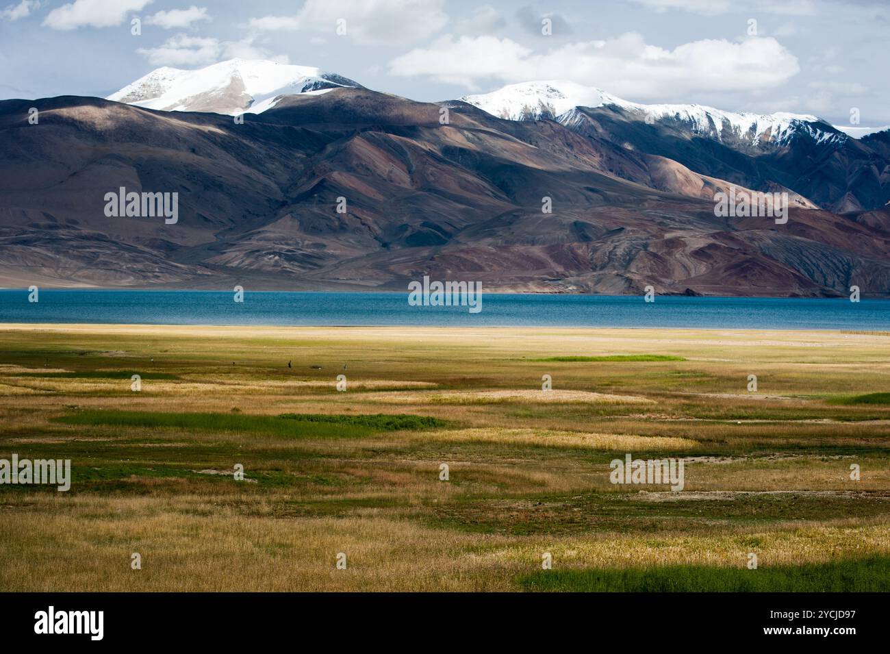 Sunset at Tso Moriri Lake. Himalaya mountains landscape with barley field. India, Ladakh, altitude 4600 m Stock Photo